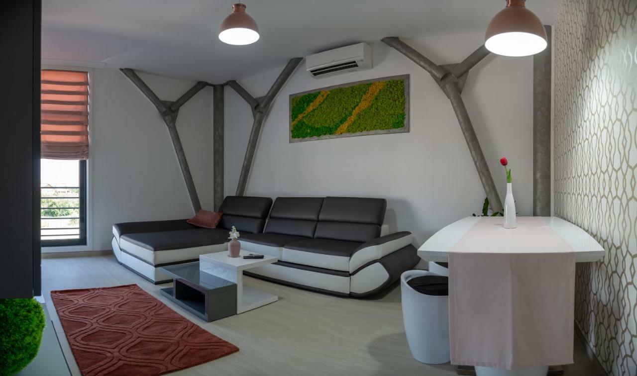 טימישוארה Apartments Steel Residence- Tesla Drive Experience חדר תמונה